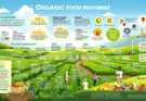 The Organic Food Movement benefits, history and effects on health and the environment